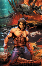 Load image into Gallery viewer, Wolverine #4 Anacleto SECRET Cover