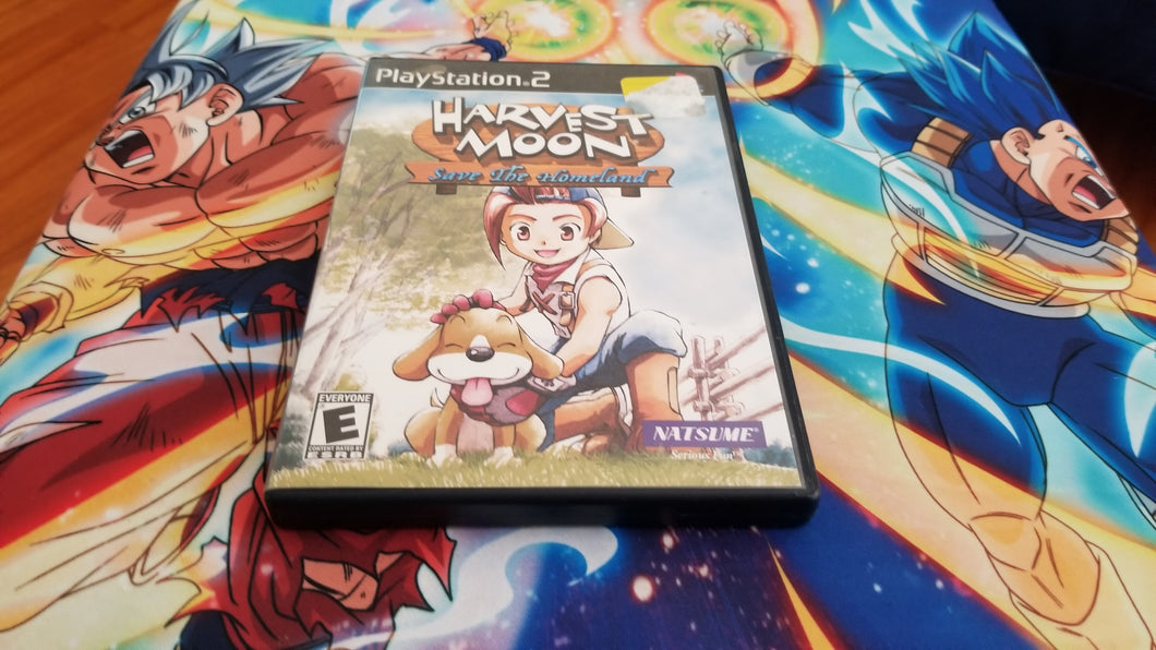 Harvest Moon Save the Homeland PS2