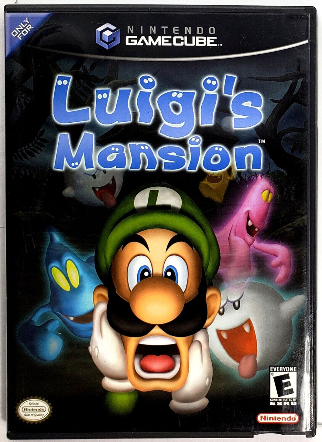 Luigi’s Mansion Cube